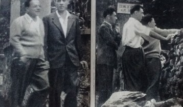 Il convalescente eterno