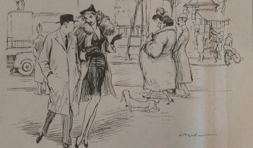 Politica femminile